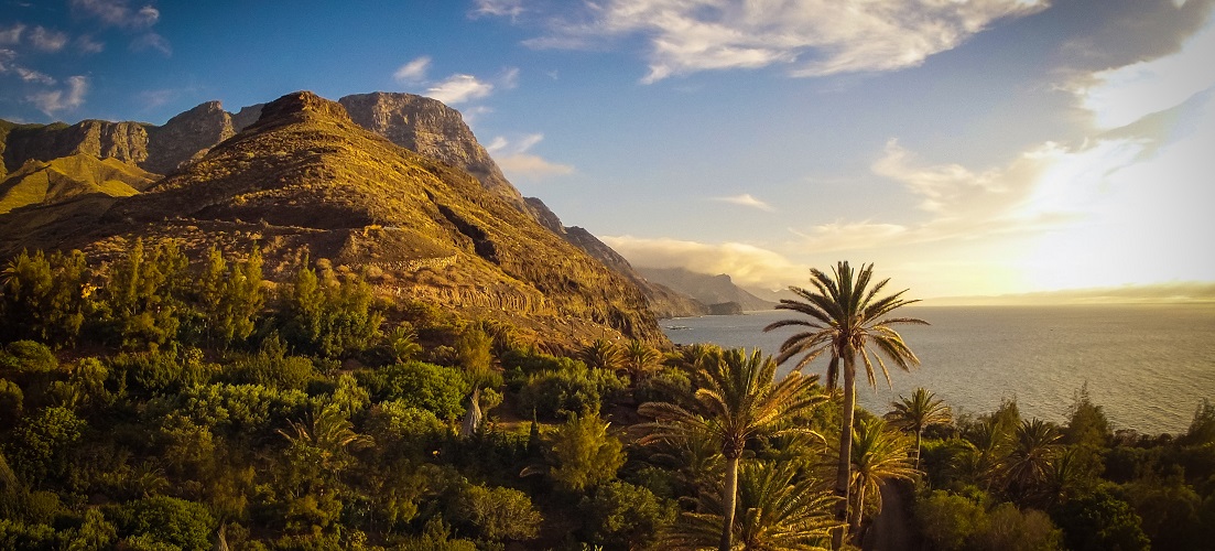 Gran Canaria Highrises