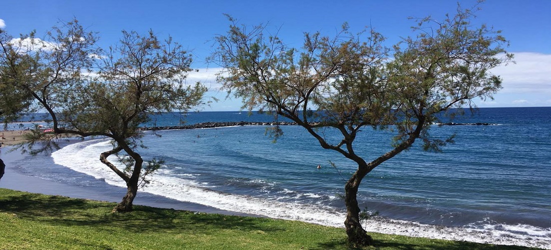 A week at the Iberostar Las Dalias