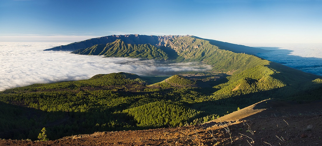 Which Canary Island is right for you