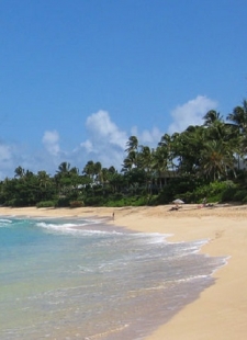 How much do you need a holiday?