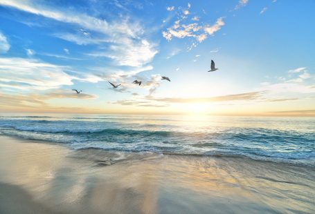 10 things to cheer you up this Blue Monday and beyond