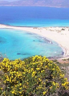 Best family beaches