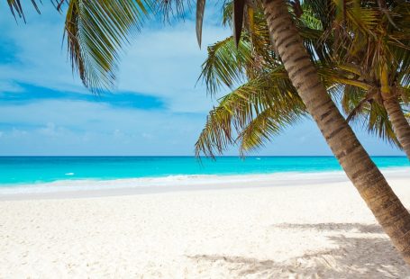 The best beaches for catching some winter sun